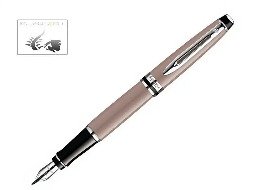 an-Expert-Fountain-Pen-Lacquer-Chrome-trim-Taupe-1.webp