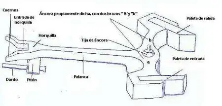 ancora_450.webp