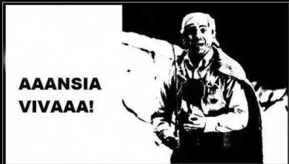 Ansia viva.webp