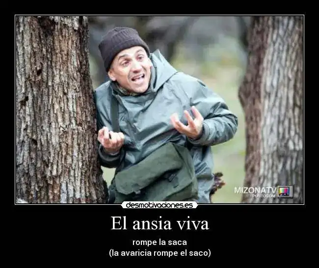 ansiaviva.webp