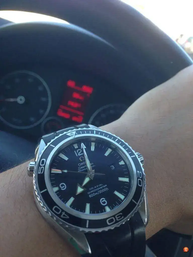 anubape8.webp