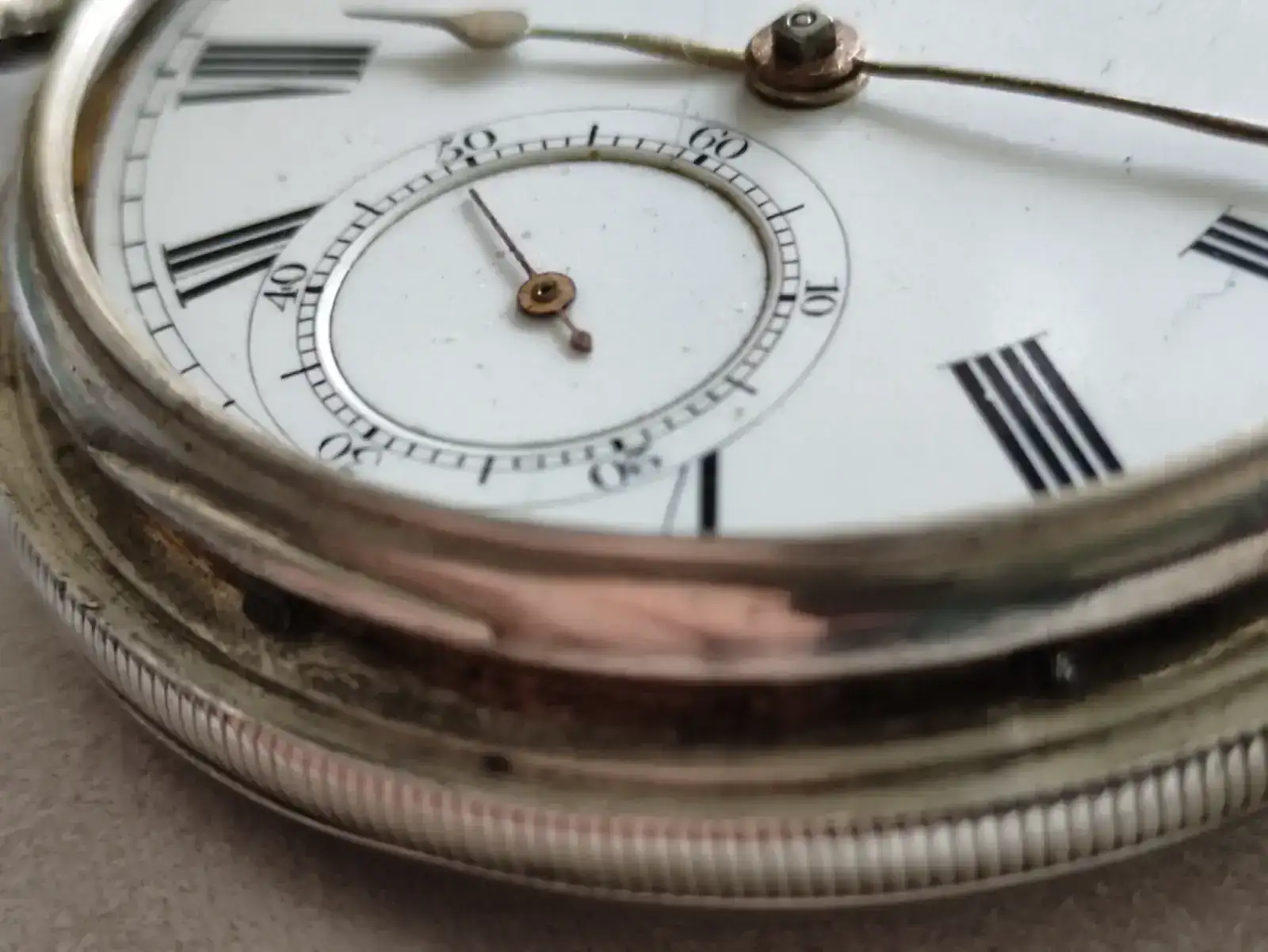 apertura de la zona del crista.webp