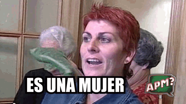 apm-apmtv3.gif