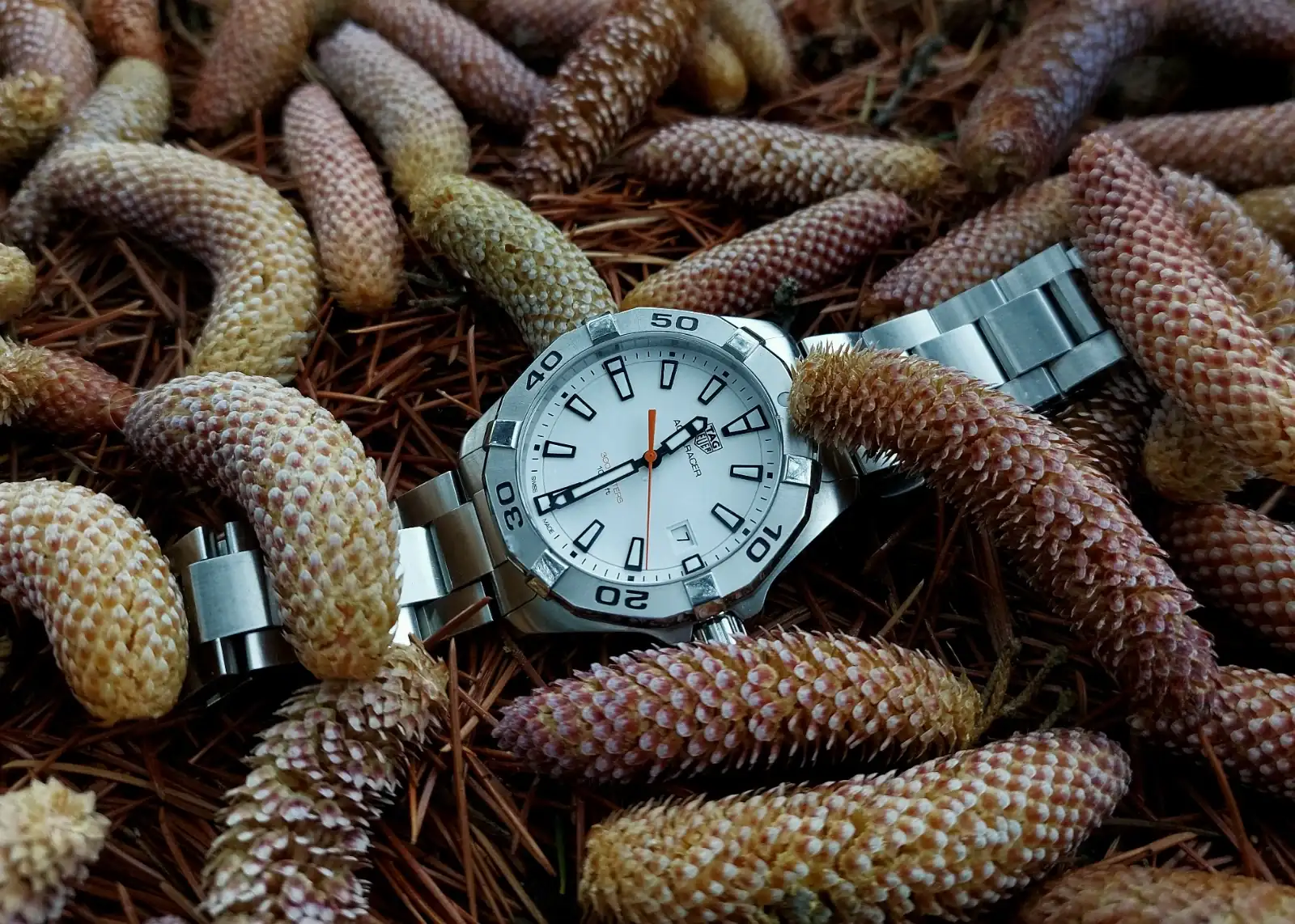 AQU20251107_112916 (1).webp