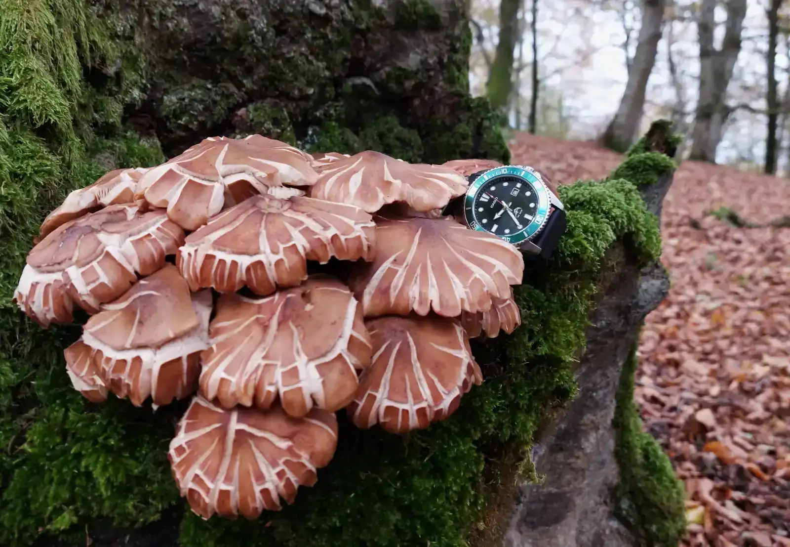 AQU20251107_112916 (2).webp