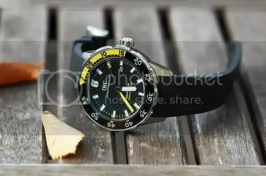 Aquatimer_leaves.webp
