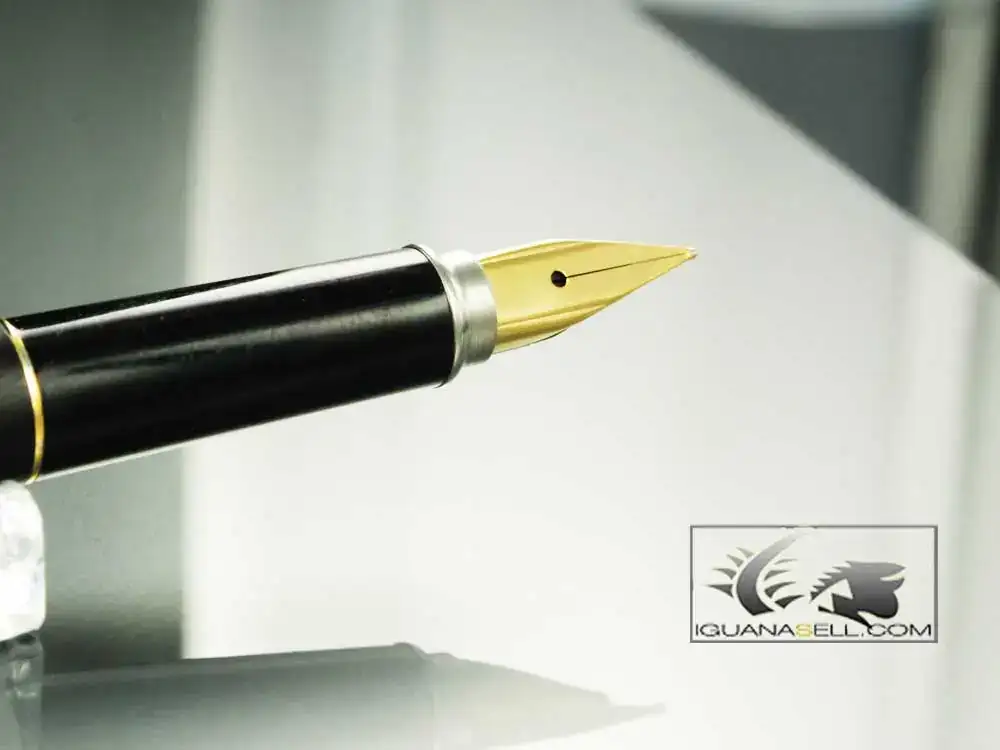 arco-Polo-Fountain-Pen-Black-Gold-Plated-New-302-3.webp