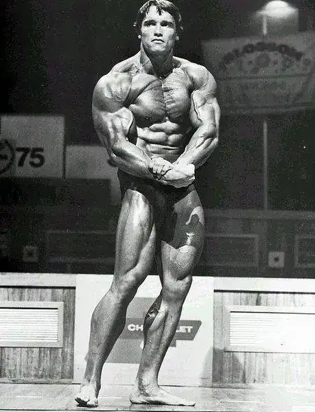 Arnold%2009.webp