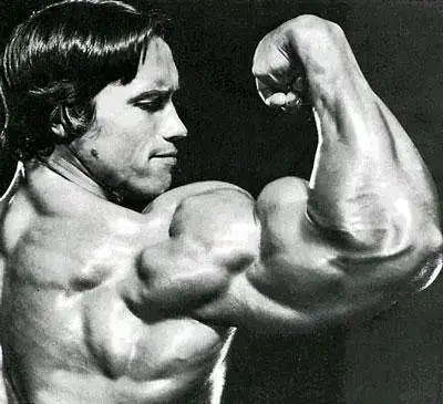 arnold_schwarzenegger.webp