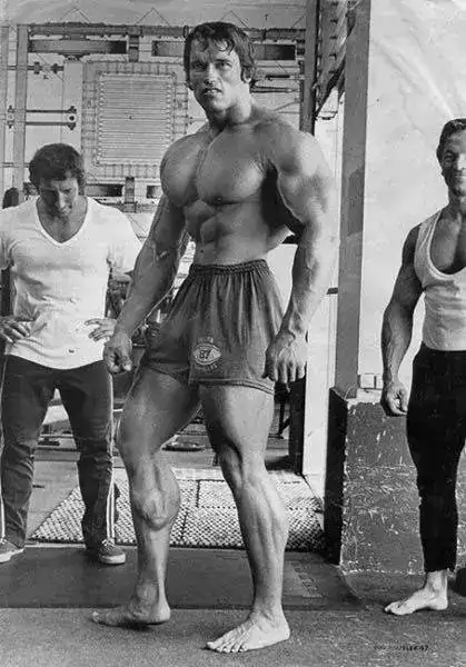 arnold_schwarzenegger.webp