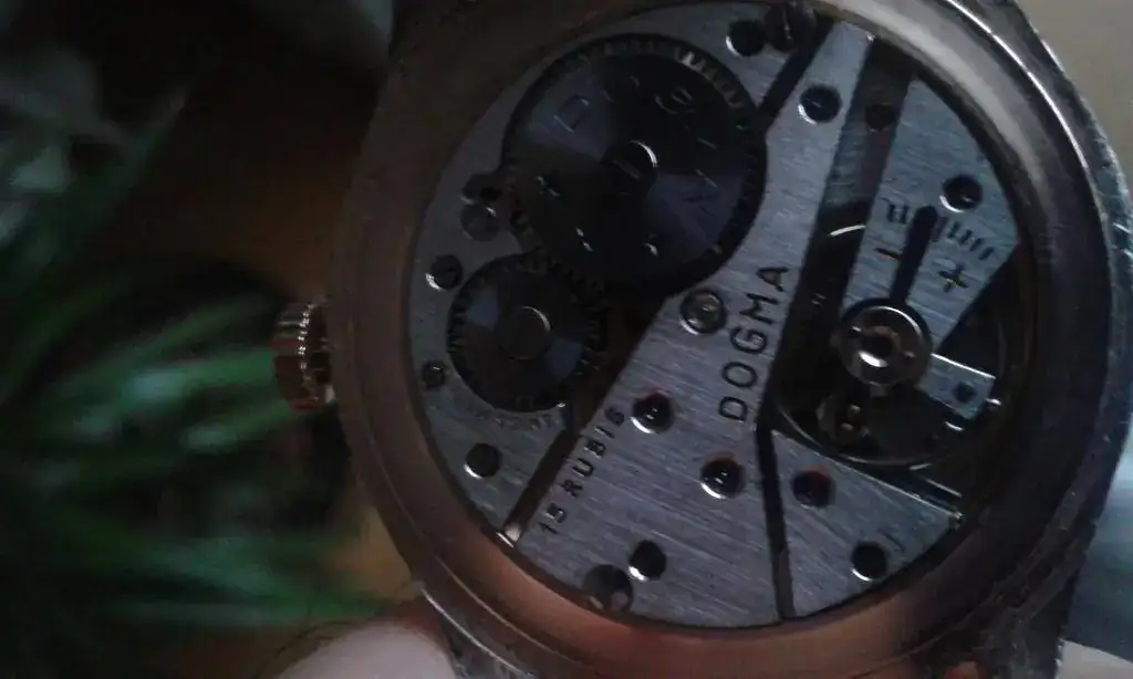 AS 1130 DOGMA PRIMA 15 RUBIS.webp
