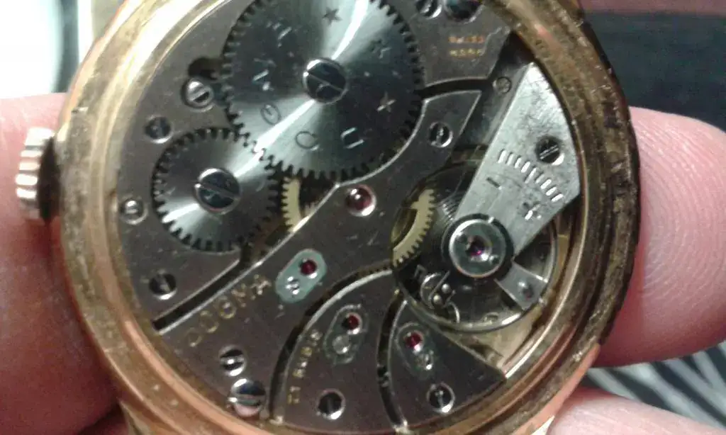 AS 1130 EN DOGMA PRIMA 21 RUBIS.webp