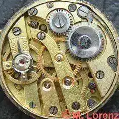 AS_437.webp