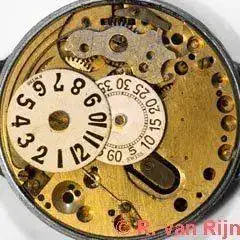 AS_740-1.webp