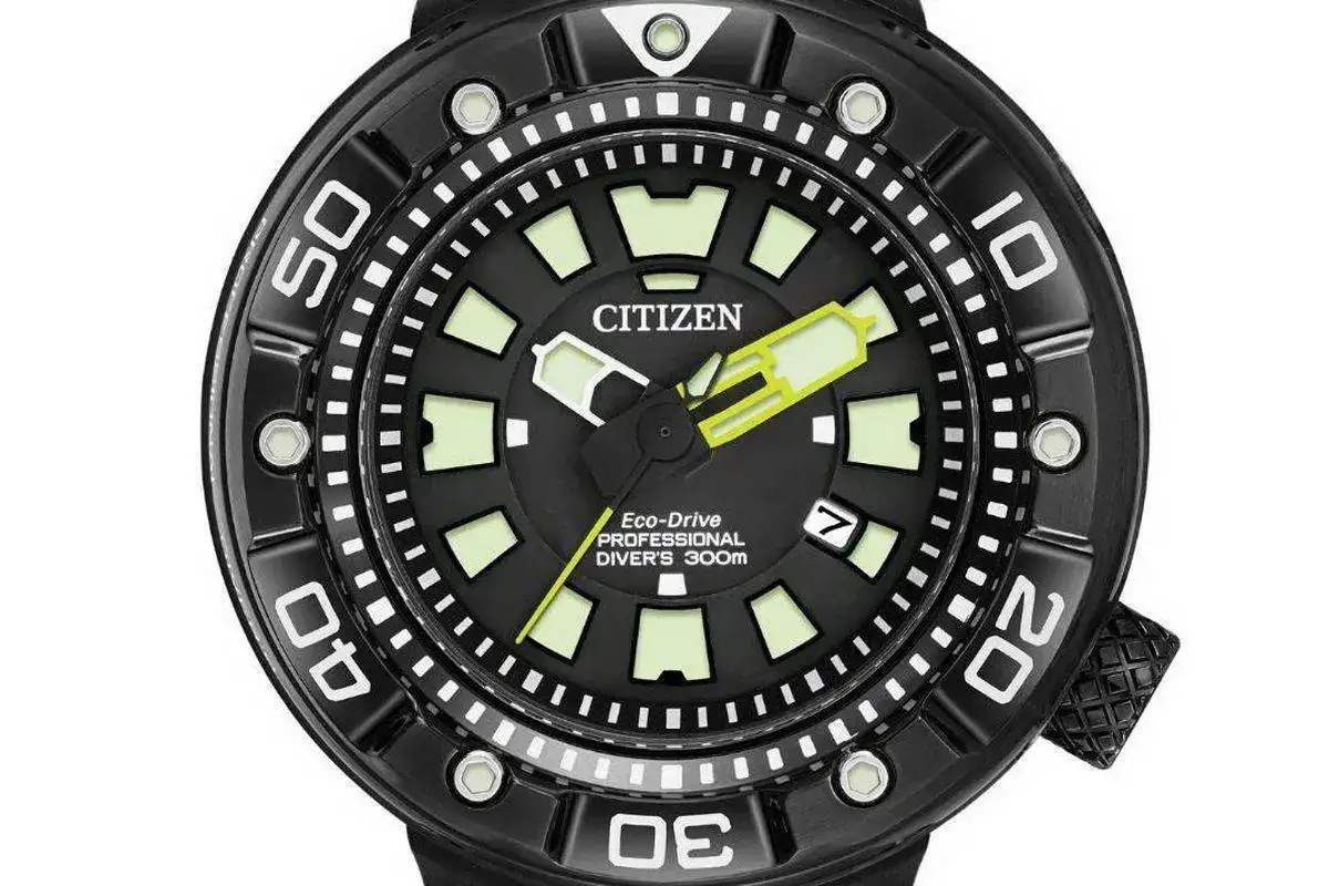aster%2BProfessional%2BBlackZILLA%2B%2528crop%2529.webp