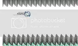 asuag.webp