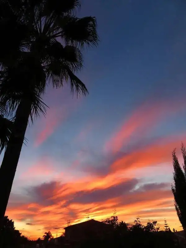 Atardecer 22 de noviembre 2017 _ Mallorca.webp