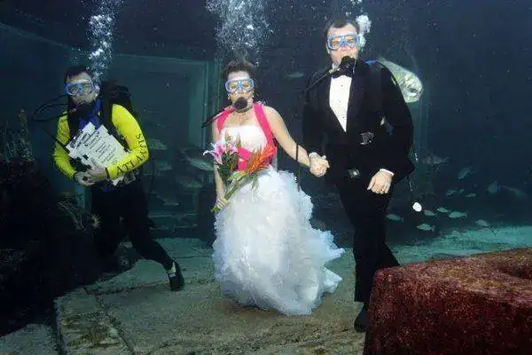 Atwedding_3_1_.webp