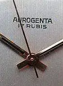 AURAGENTA (2).webp