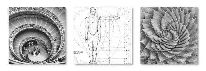 aurea.webp