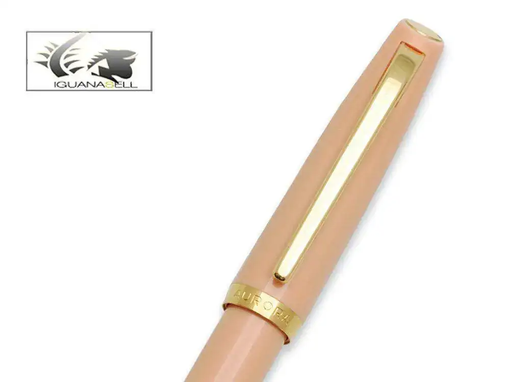 Aurora-Style-Fountain-Pen-Gold-trim-E12QR--1.webp