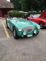 Austin Healey.webp