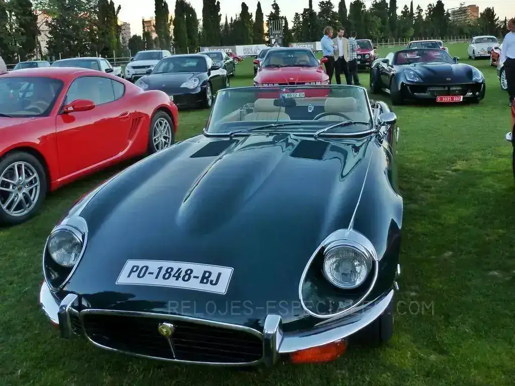 Autobello_16.webp