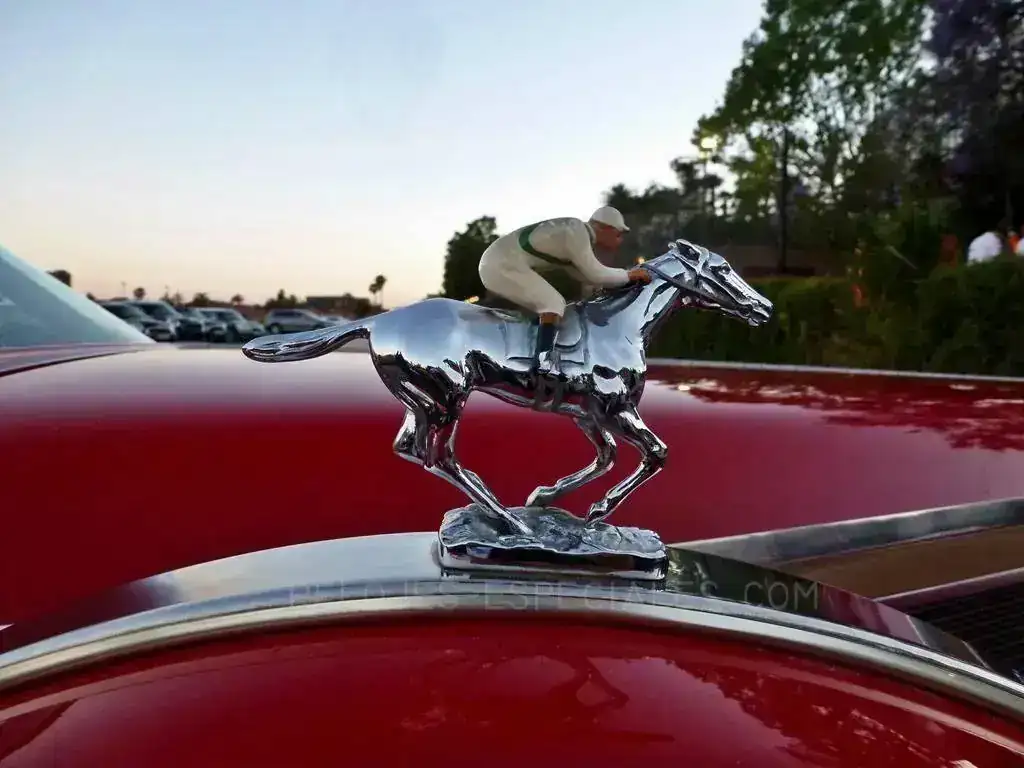 Autobello_18.webp