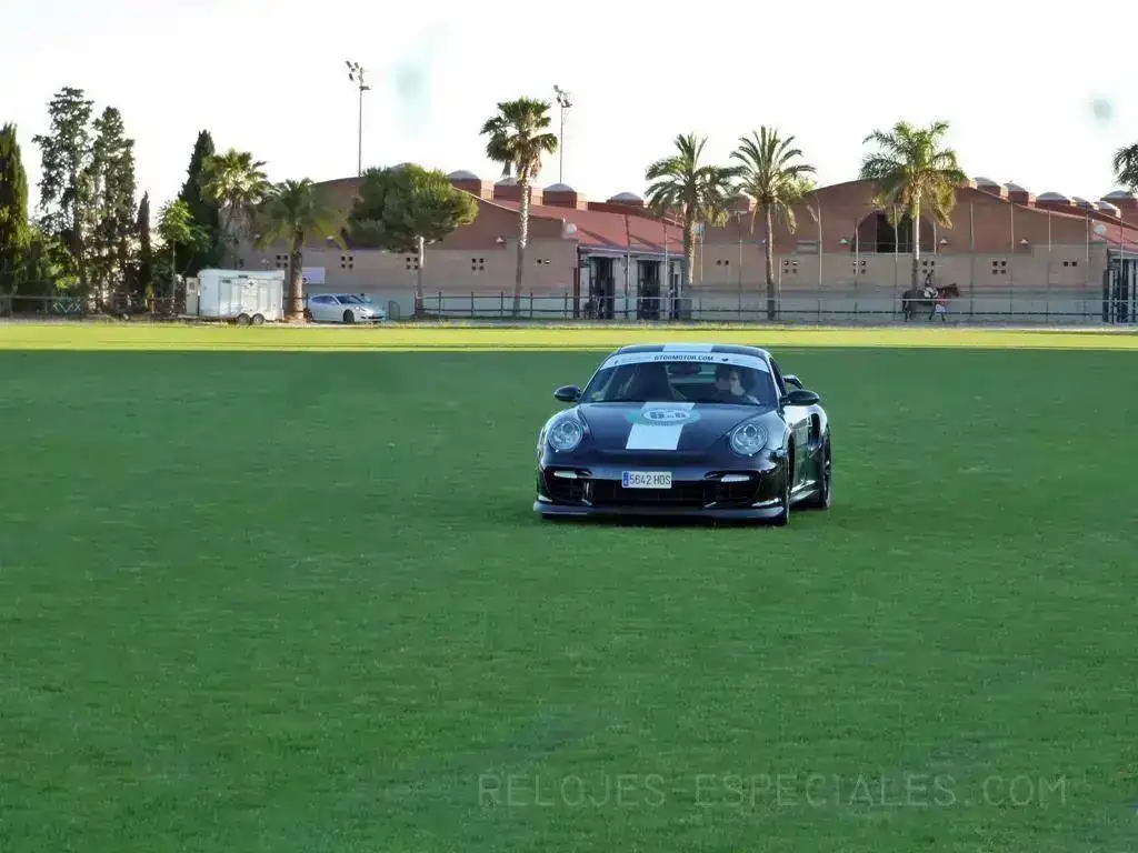Autobello_8.webp