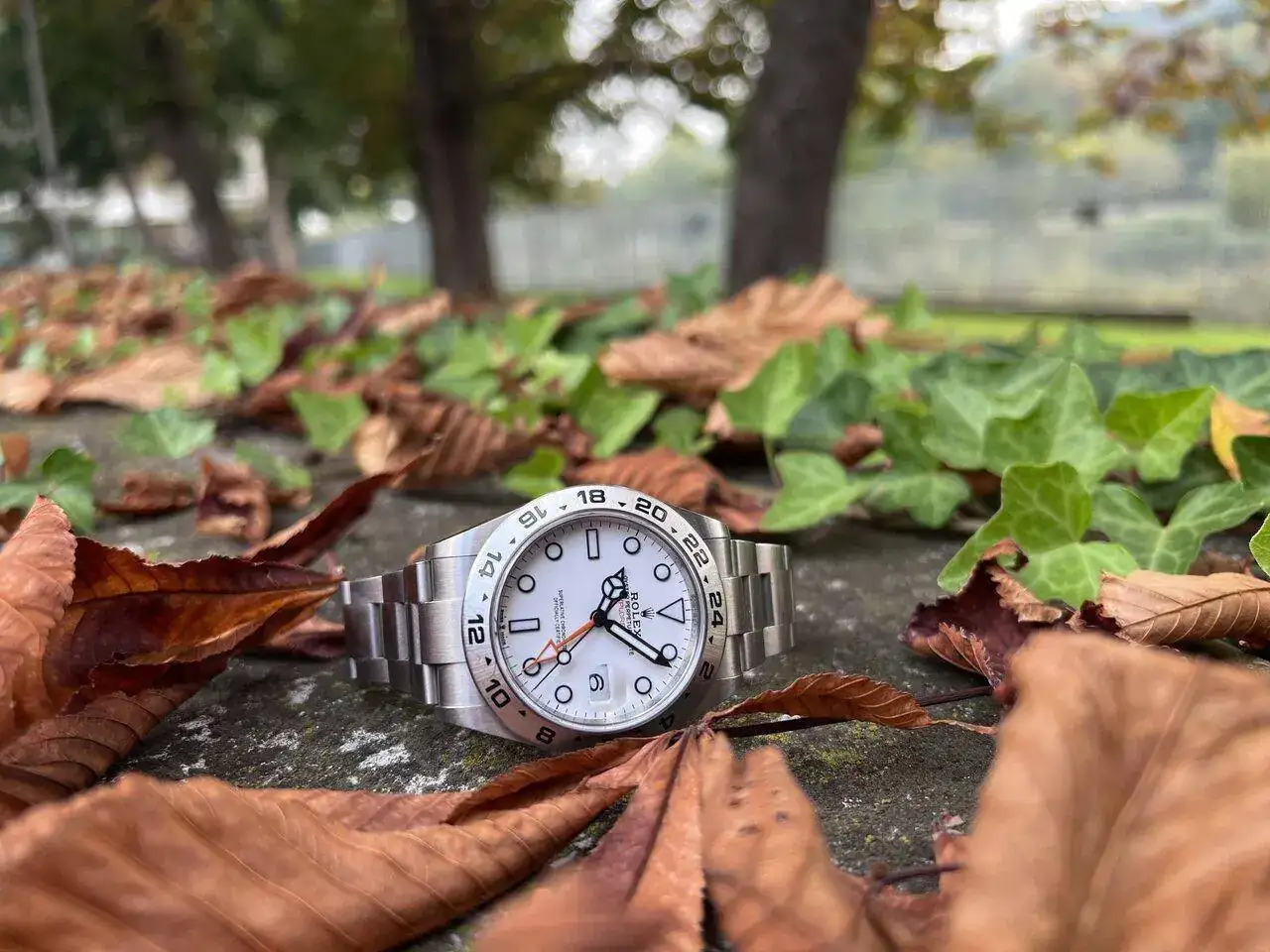 Autumn is coming.webp