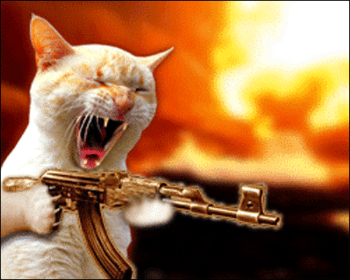 avatar_13971.gif