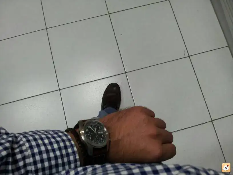 avebuneg.webp