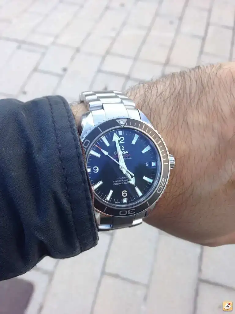 avegypag.webp