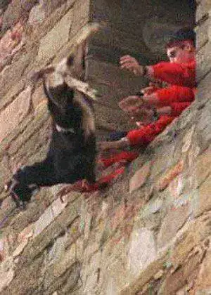 aves_cabras_maltrato_animal_tortura.webp