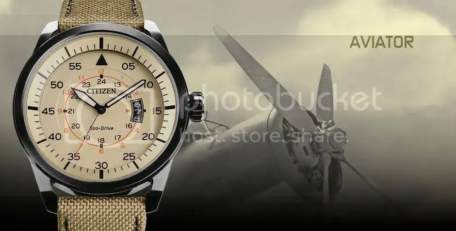 aviator_citizen_zpseborkp6v.webp