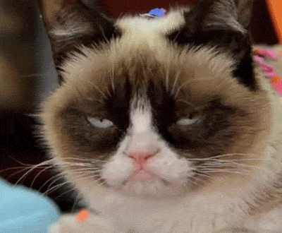 B038D2B3-9600-42FC-951B-F265D6F559DB.gif
