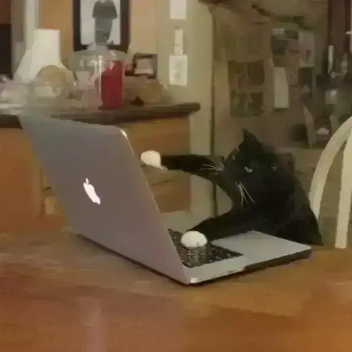 b0fee33d7a8e955e72da5d06e6713e43.webp