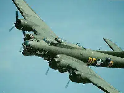 b17.webp