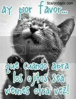 b37f51c6f7aeab440fecc2c0b3472df8_zps738b8dbb.webp