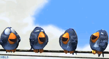 b6aef59c-3602-48a1-b290-9431dfc523e2.gif