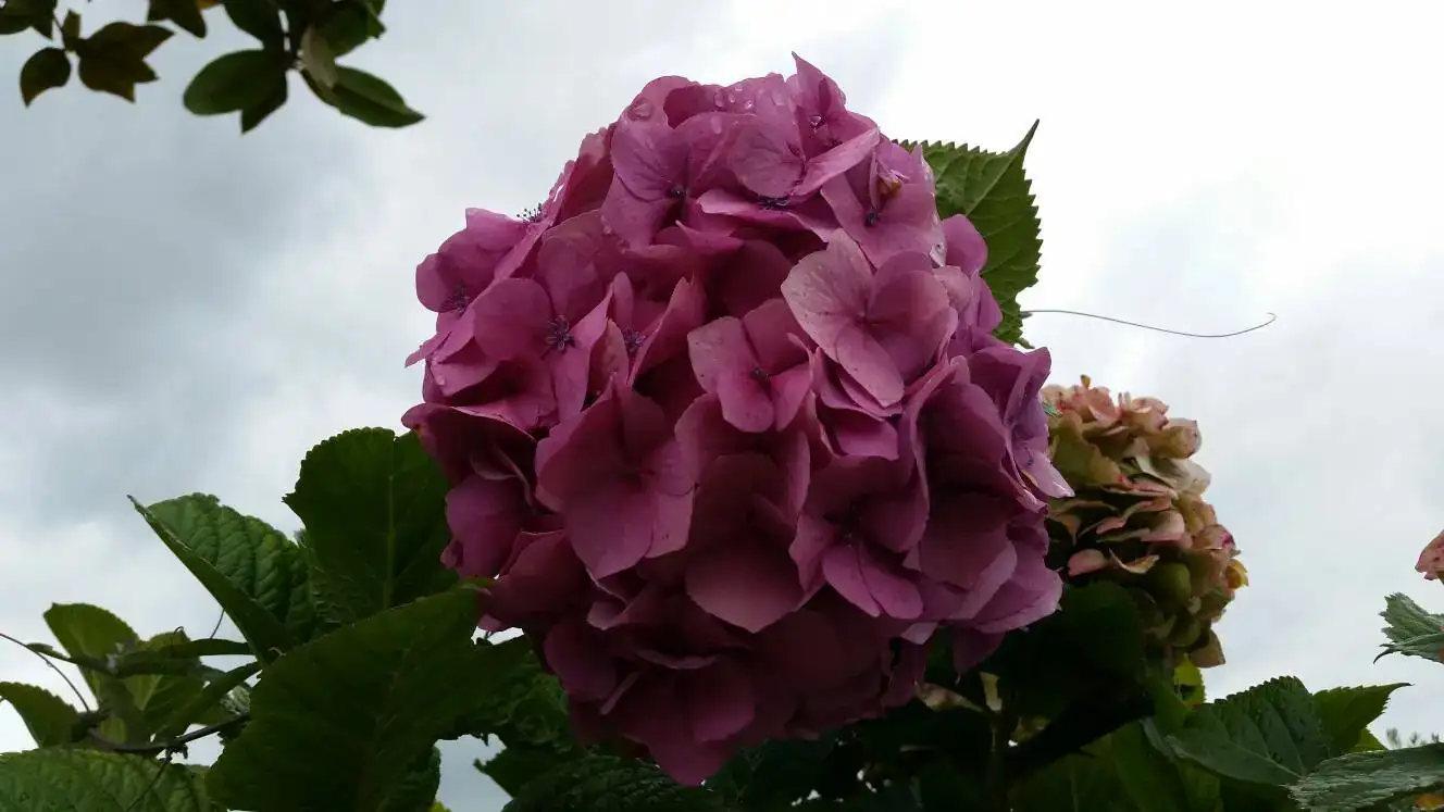 b86ad21aebd185c84ef044c0604d24ce.webp
