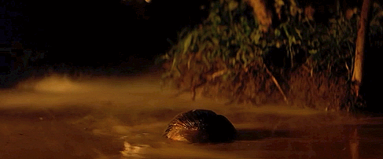 b86e5d48193a6857643e777e8c151ba6.gif