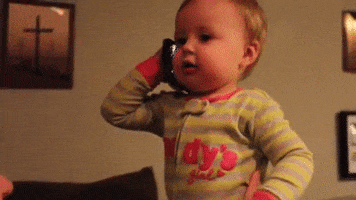 B9-AEAC3-B-9858-40-F6-8258-84-EDF570-D308.gif