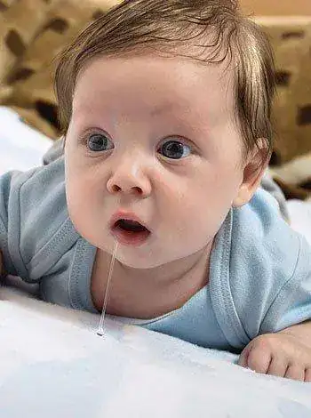 Babea-sin-dientes.webp