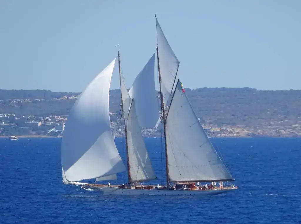 Bahía de Palma.webp