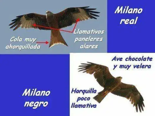 bd7de4a5d7cc1fde0a159b58a49a14f7.webp