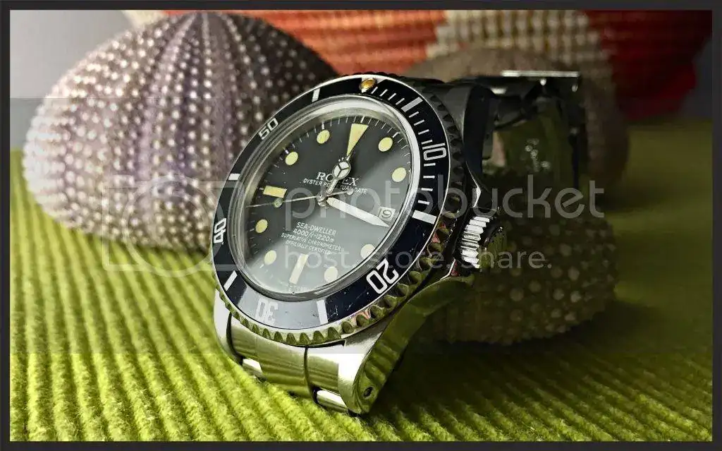 BED7B653-AD7E-4DA5-90CC-EE5BD73708E2_zpswghi7xir.webp