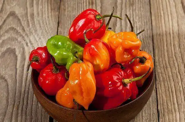 beneficios-chile-habanero.webp