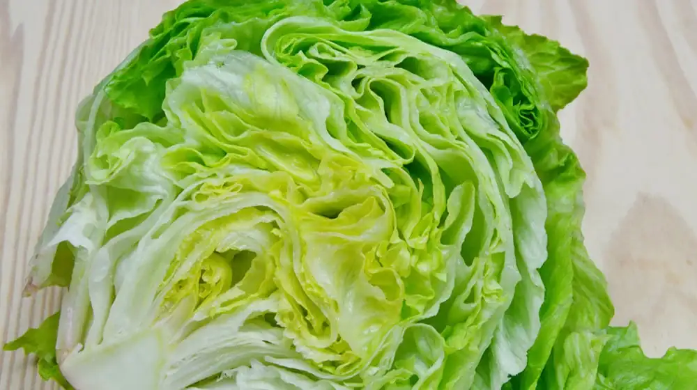 beneficios-de-la-lechuga2.webp