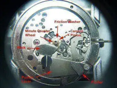 Benthos-3-400.webp